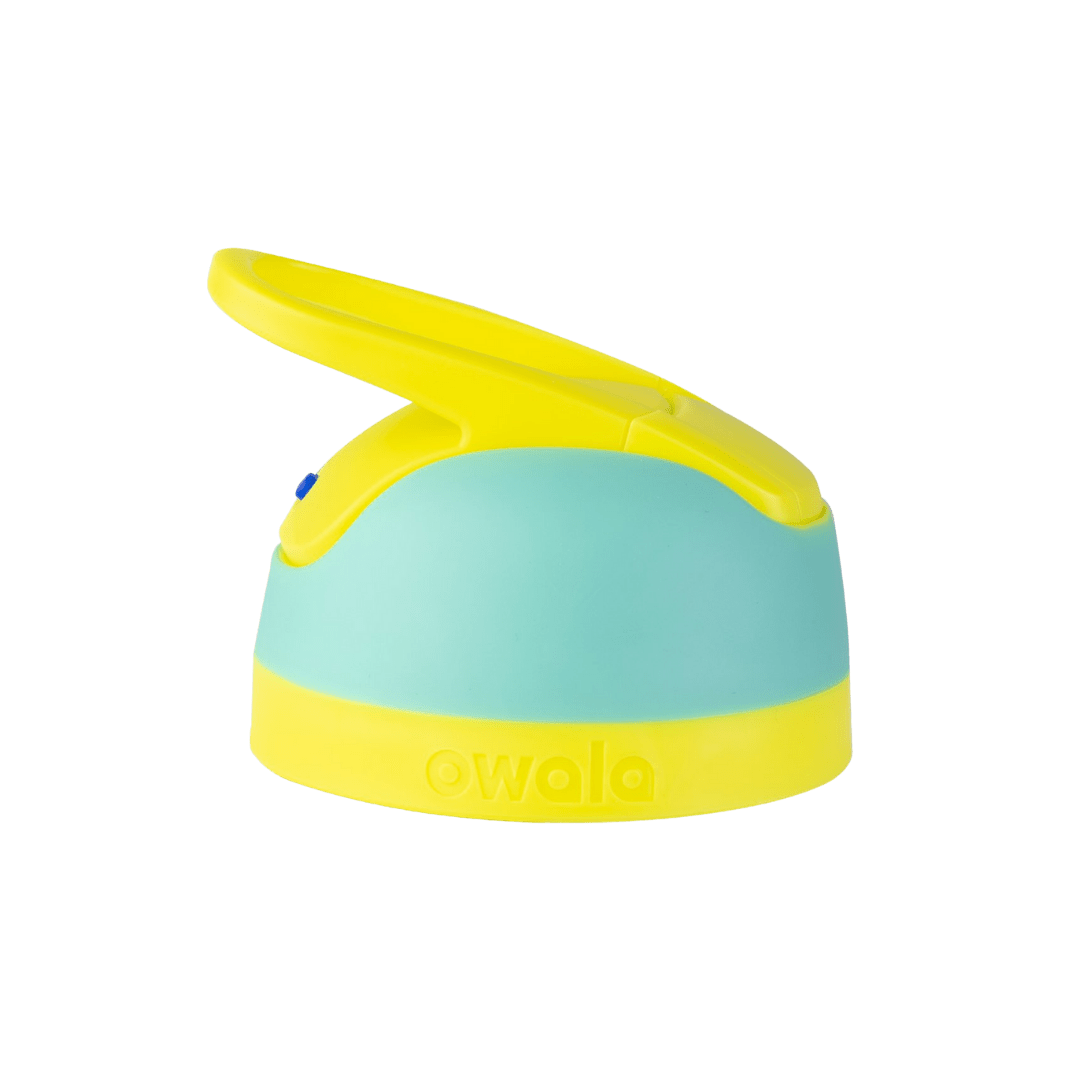 Replacement Lids (B8AH)