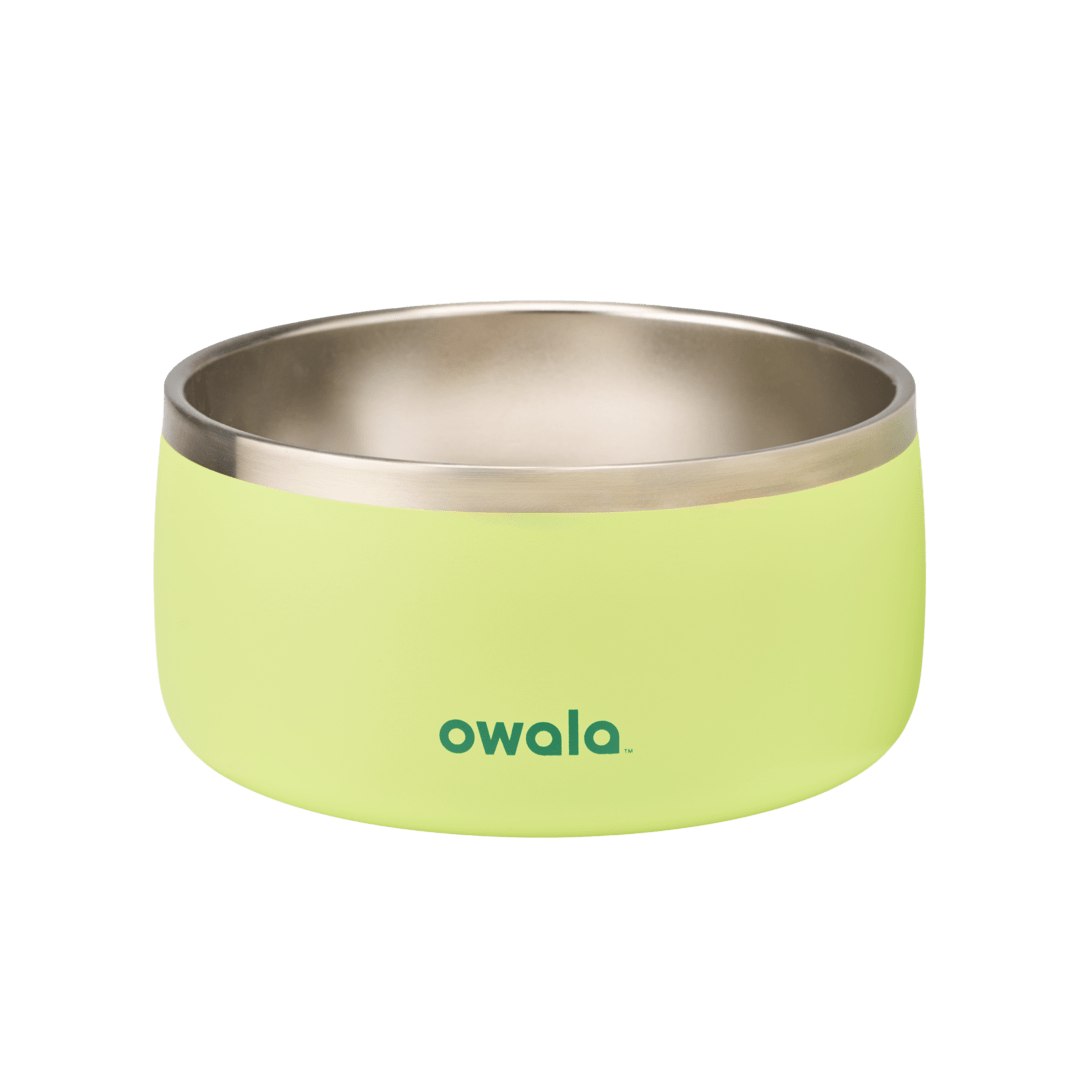 Pet Bowl (JUT2)