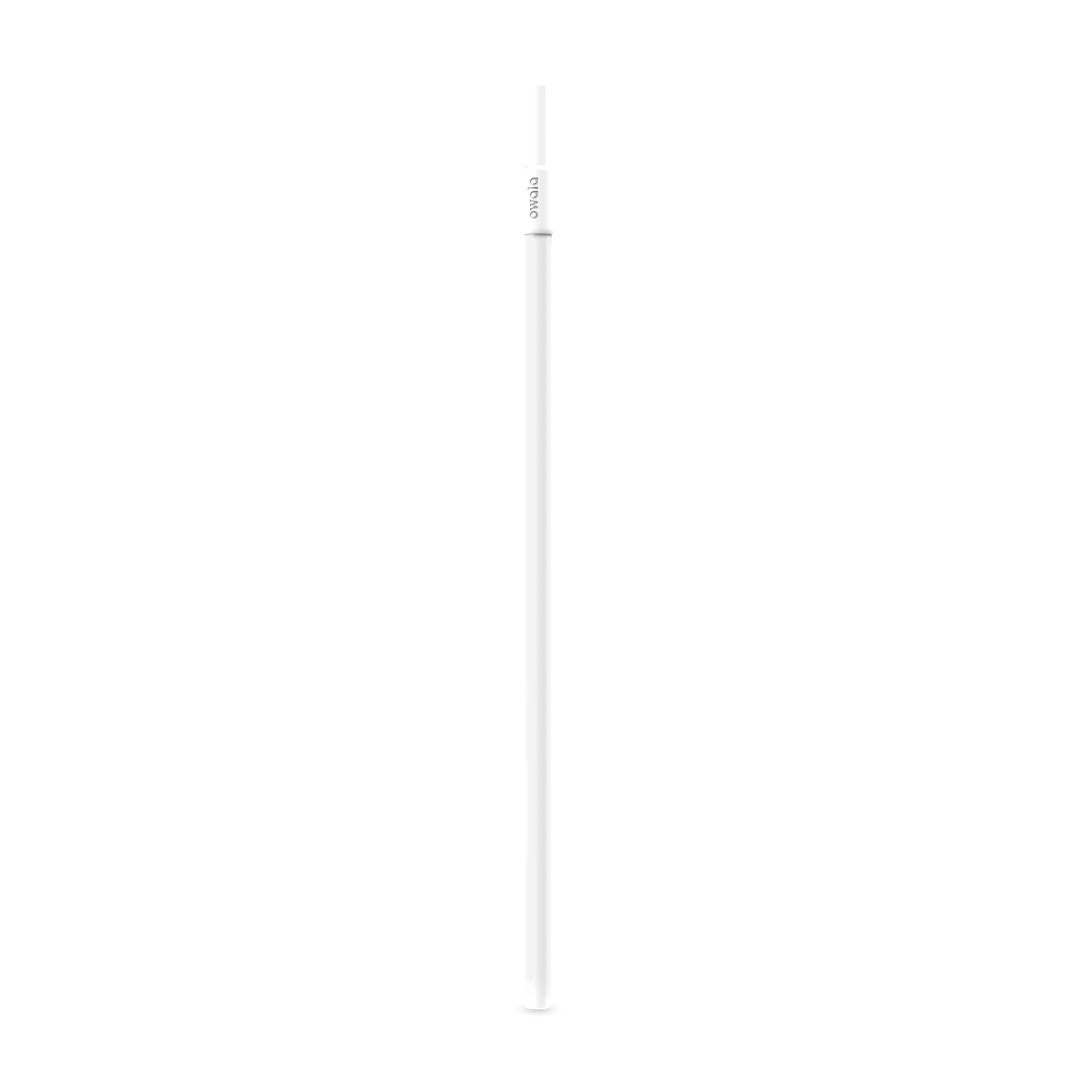 Replacement Straws (L8MX)