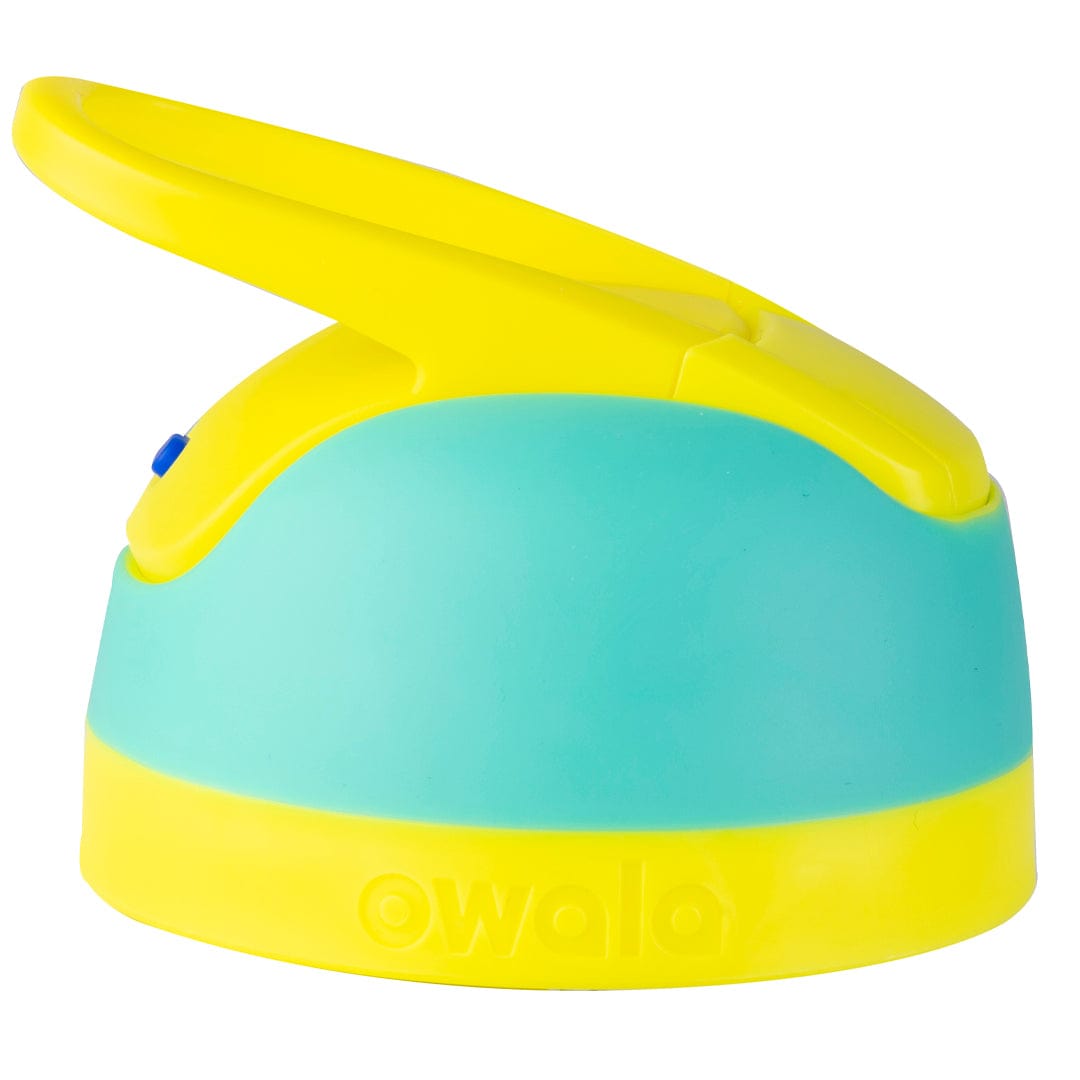 Replacement Lids (B8AH)