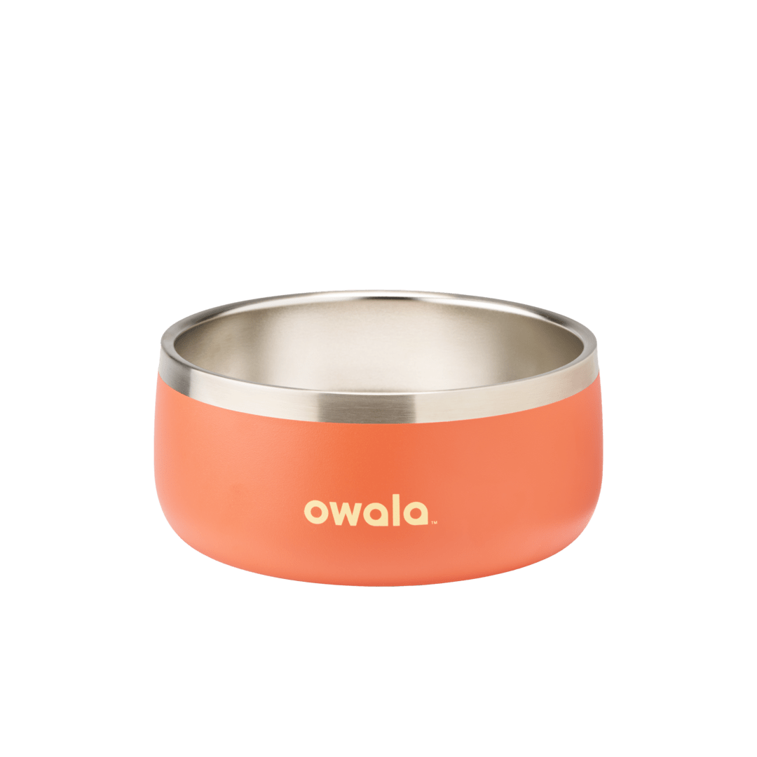 Pet Bowl (JUT2)