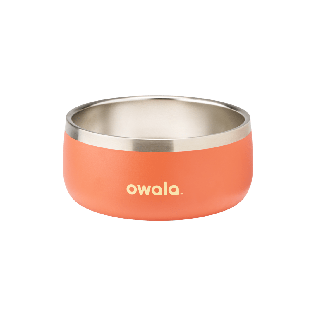 Pet Bowl (JUT2)