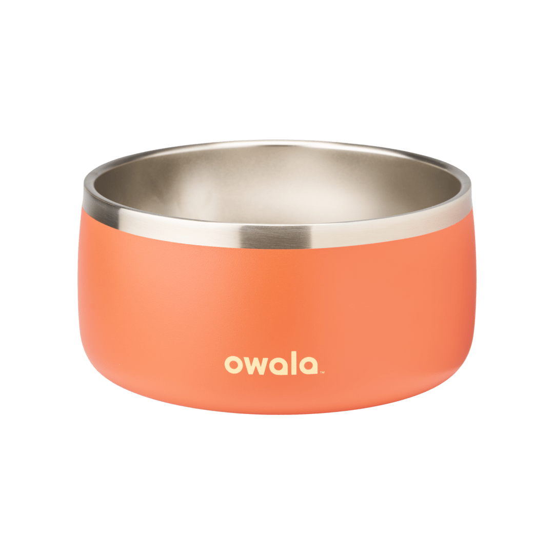 Pet Bowl (JUT2)