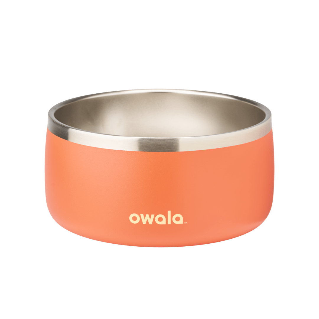 Pet Bowl (JUT2)