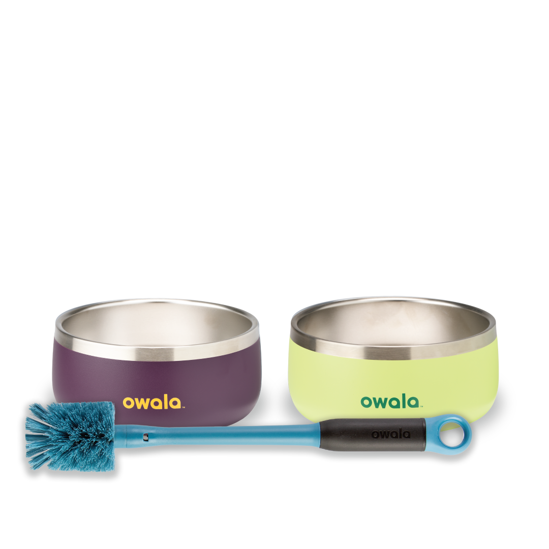 Pet Bowl (JUT2)