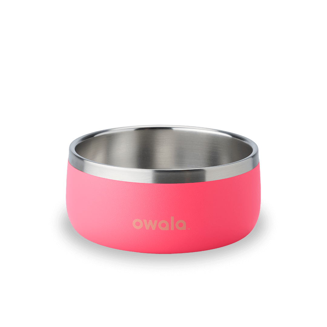 Pet Bowl (JUT2)