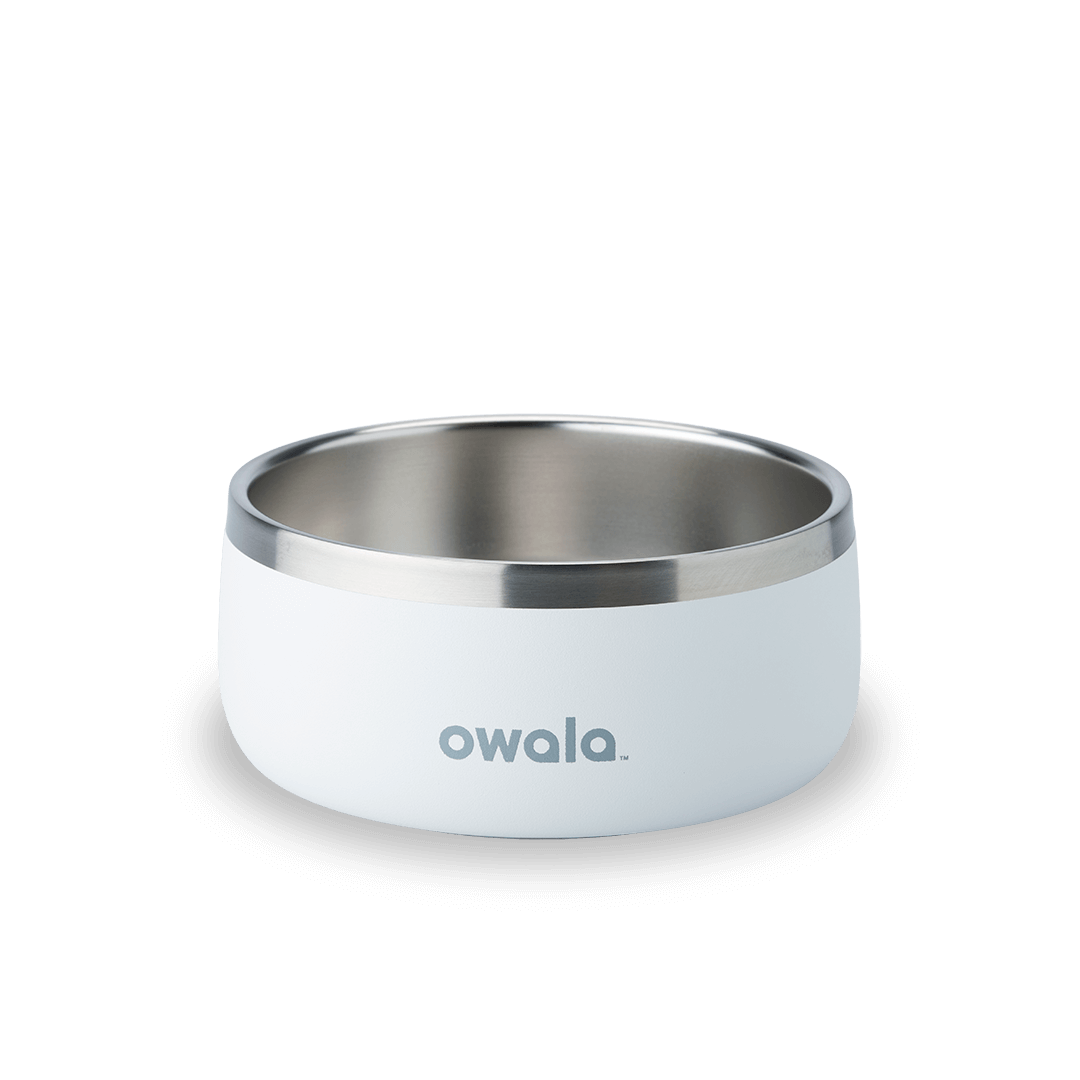 Pet Bowl (JUT2)