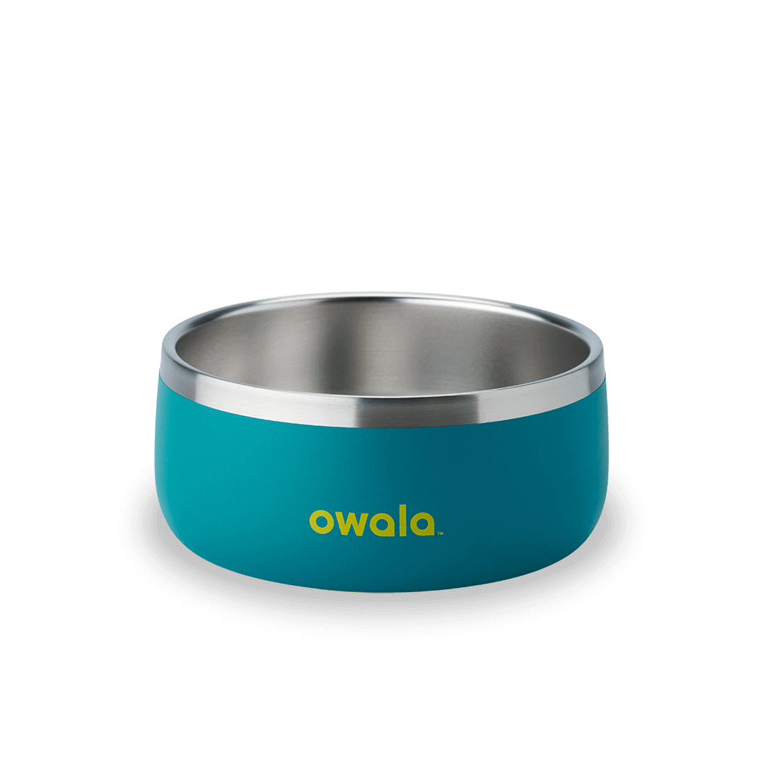 Pet Bowl (JUT2)