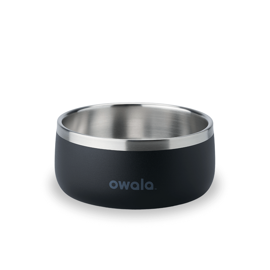 Pet Bowl (JUT2)