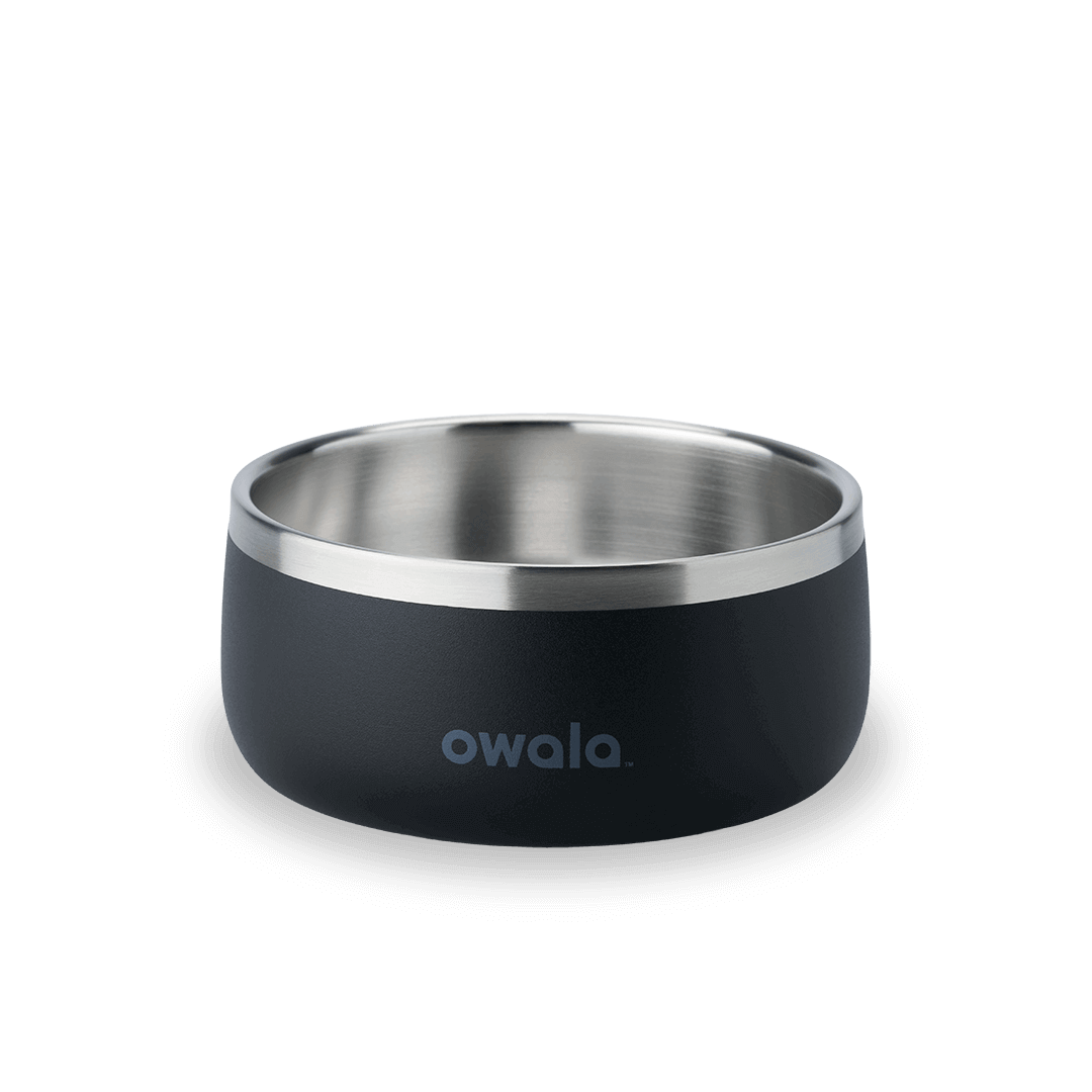 Pet Bowl (JUT2)