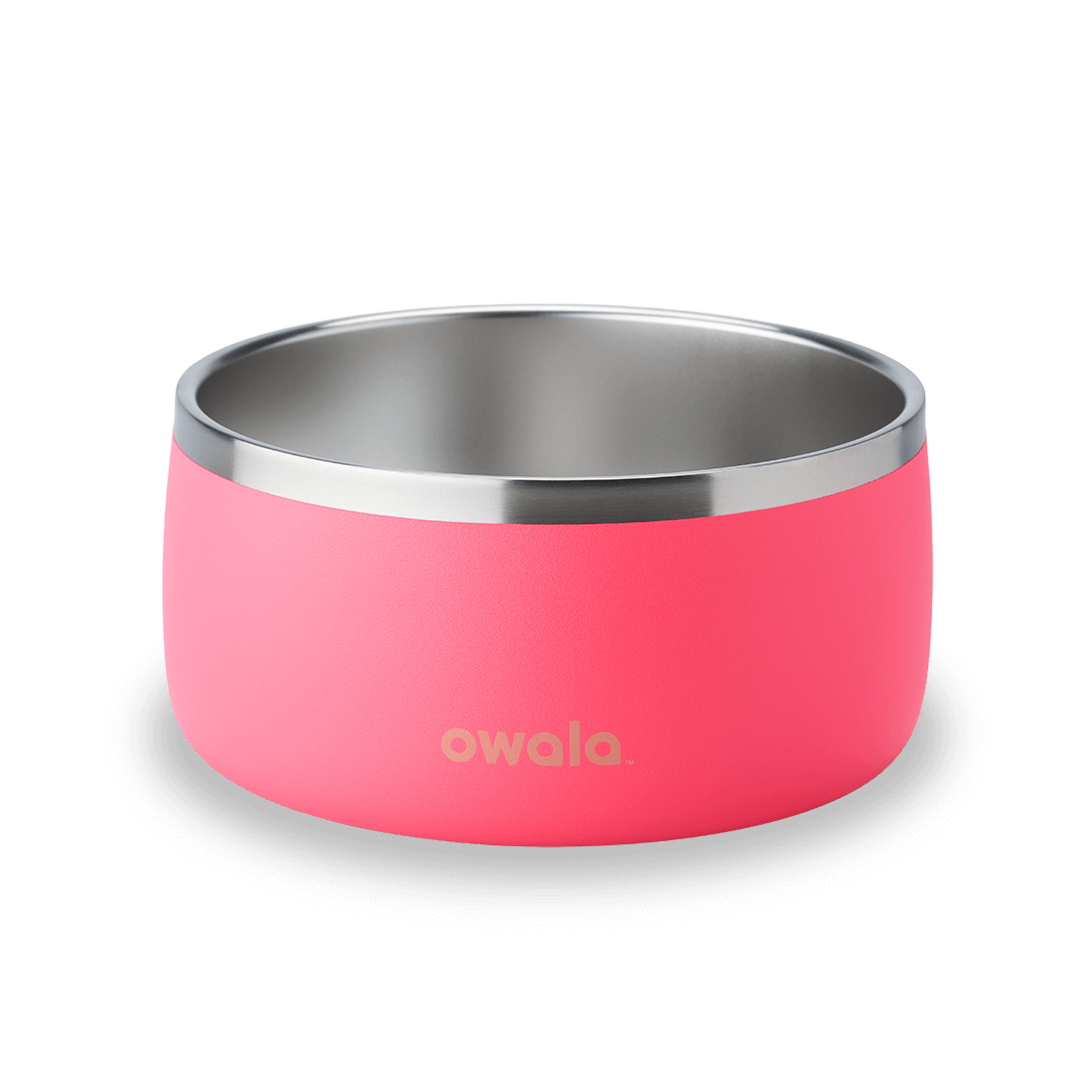 Pet Bowl (JUT2)