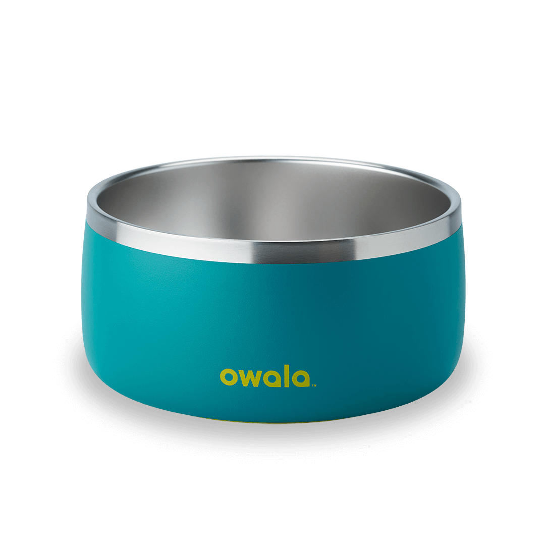 Pet Bowl (JUT2)