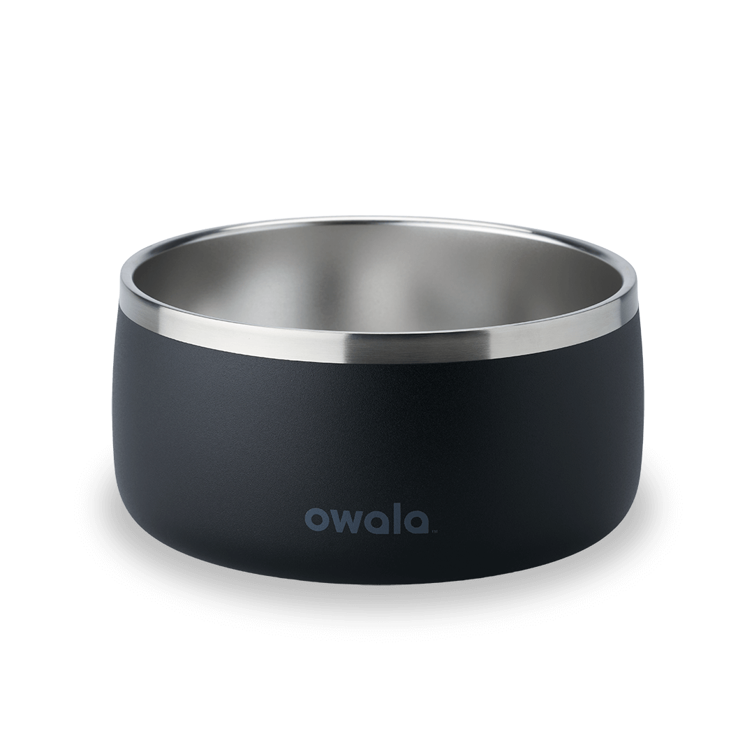 Pet Bowl (JUT2)